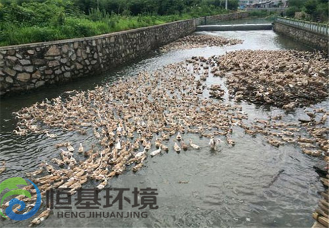 养殖污水处理